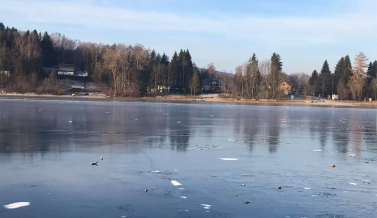 81341896_793546064486910_3793791685398364160_n (1)