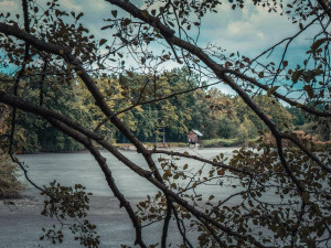 342d6d25-8246-4a43-94f8-206c94d0426b