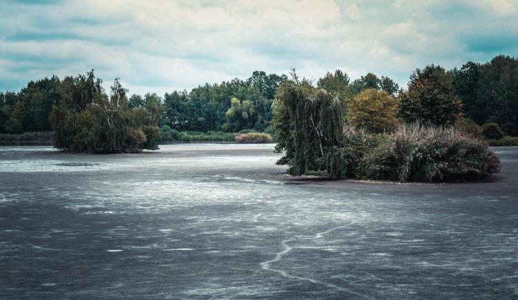 b585be19-a698-48dd-be06-9853942a2a5b