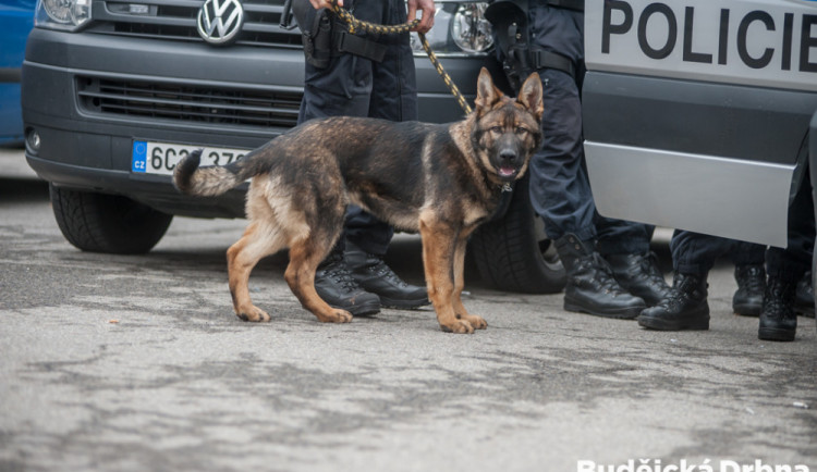 Ilustrační foto