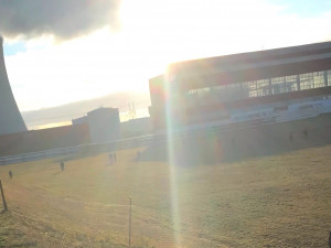 Myslivci zajíce chytali do sítí. V areálu elektrárny jich nastražili 600 metrů