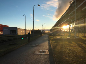 Myslivci udělali rojnici a zajíce naháněli směrem k sítím