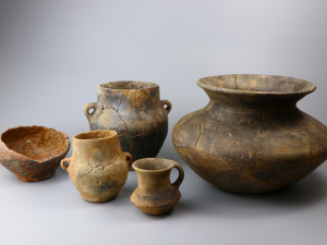 Jihočeské muzeum otevírá novou stálou archeologickou, přírodovědnou a národopisnou expozici