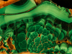 Jihočeské muzeum otevírá novou stálou archeologickou, přírodovědnou a národopisnou expozici