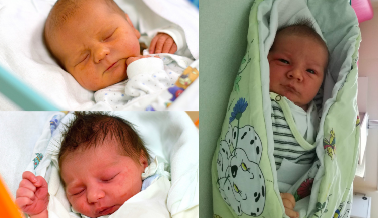 Snímek obrazovky 2020-01-16 v 8.53.31