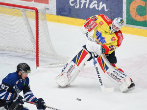 ČEZ Motor České Budějovice vs AZ Havířov