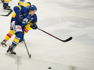 ČEZ Motor České Budějovice vs HC Zubr Přerov