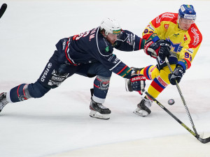 ČEZ Motor České Budějovice vs Piráti Chomutov