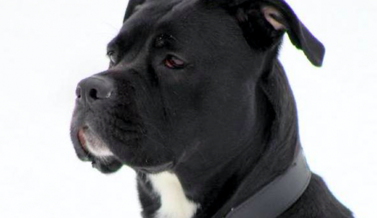 Snímek obrazovky 2020-02-06 v 21.17.59