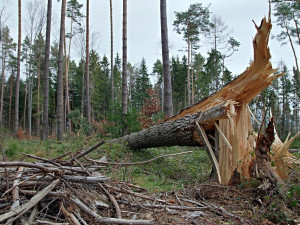 VÝSTRAHA: Na Česko se žene vichřice, zasáhne celý Jihočeský kraj
