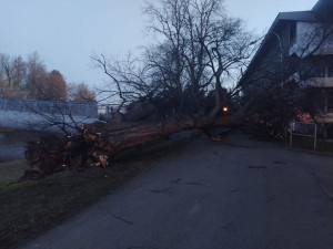 86185295_10206833541832371_8420864922379878400_o