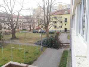 85009695_2367893390182476_9100742925188333568_o