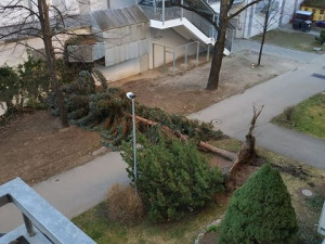 86191158_505230596796052_5118608510019436544_n