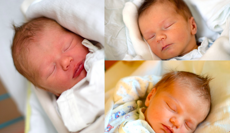 Snímek obrazovky 2020-02-11 v 15.14.46