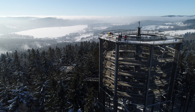 Stezka korunami stromů