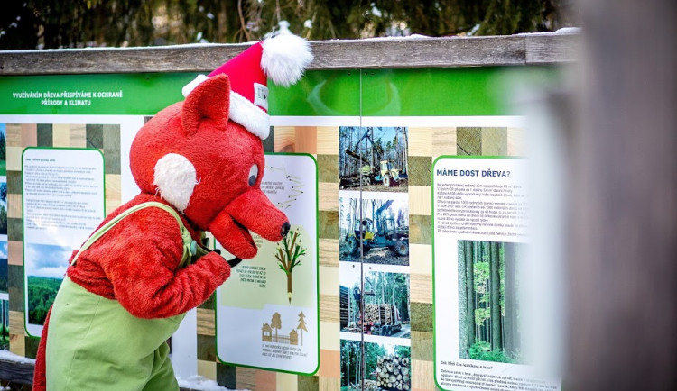 Lišák Fox slaví narozeniny.