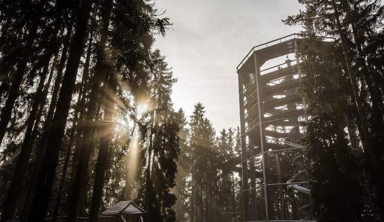 Stezka korunami stromů.