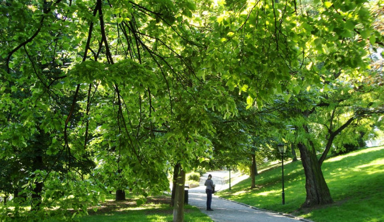 Muž si vzal do parku pod Špilberkem dýku a několik nožů, skončil v poutech