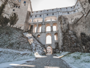 Místo turistů se ulicemi Krumlova prochází kachny. Jak vypadá turistická metropole bez lidí?