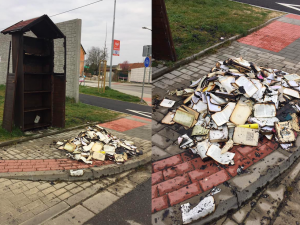 Ve Včelné někdo zapálil dřevěnou budku s knihami. Případ řeší policie