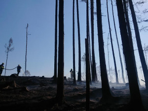 Hasiči mají plné práce s požáry, většinou za nimi stojí lidská neopatrnost