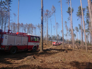 Hasiči mají plné práce s požáry, většinou za nimi stojí lidská neopatrnost