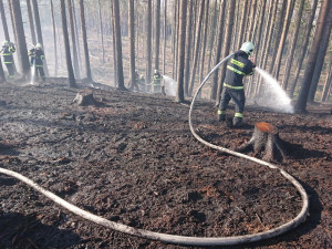 Hasiči mají plné práce s požáry, většinou za nimi stojí lidská neopatrnost
