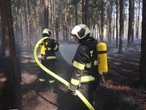 Na Táborsku hořely lesy, vyhlášen byl třetí stupeň požárního poplachu