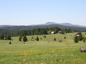 Národní park Šumava o víkendu očekává tisíce návštěvníků, v terénu budou strážci