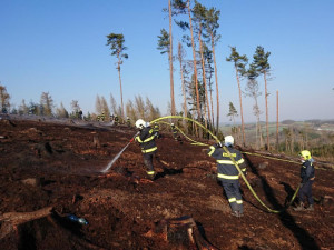Na požár lesa hasiči spotřebovali 600 tisíc litrů vody, požár dostali pod kontrolu po devíti hodinách