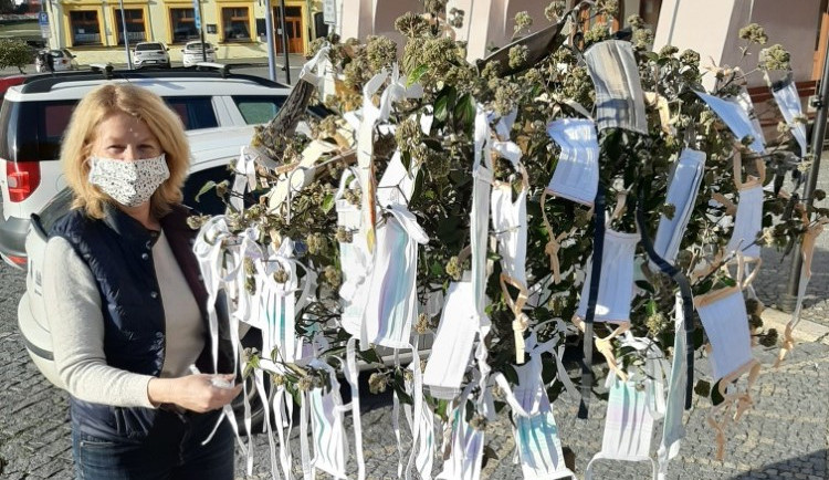 V Týně nad Vltavou vyrostl rouškovník