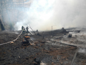 Počty požárů neklesají, hasiči mají na kontě dalších dvacet výjezdů
