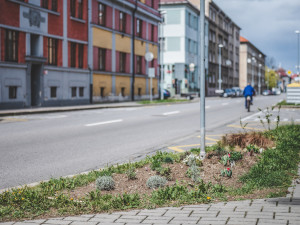 Město se nedrží žádné vize. Snažím se inspirovat k aktivitě v ulicích, říká Akční Budějčák Martin Novotný