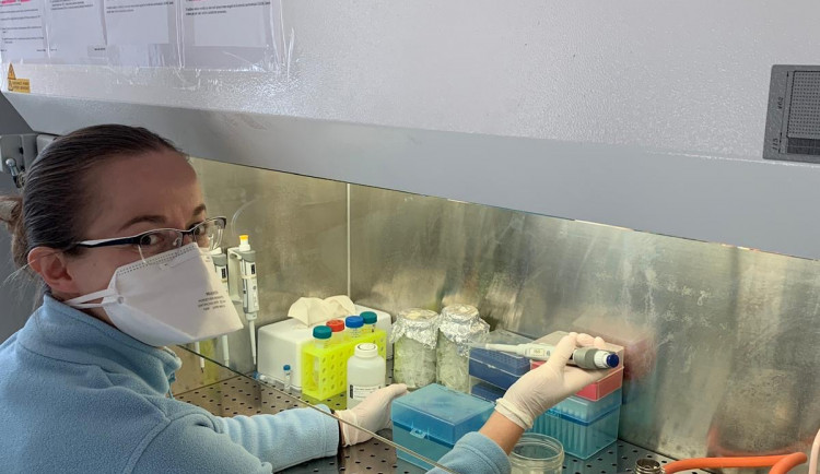 Společnost Gen-Trend zapůjčila nemocnici automat na izolaci vzorků k analýze na koronavirus