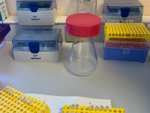 Společnost Gen-Trend zapůjčila nemocnici automat na izolaci vzorků k analýze na koronavirus