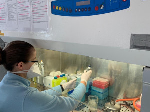 Společnost Gen-Trend zapůjčila nemocnici automat na izolaci vzorků k analýze na koronavirus