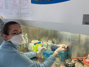 Společnost Gen-Trend zapůjčila nemocnici automat na izolaci vzorků k analýze na koronavirus