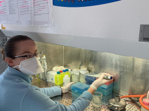 Společnost Gen-Trend zapůjčila nemocnici automat na izolaci vzorků k analýze na koronavirus