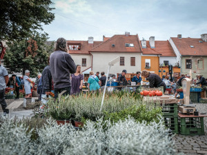 Farmářské trhy se na Piaristické náměstí vrátí už příští týden