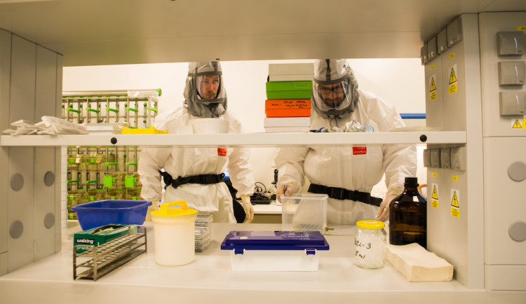 Biologické centrum v Budějovicích zahájilo výzkum koronaviru