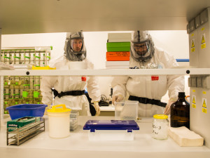 Biologické centrum v Budějovicích zahájilo výzkum koronaviru