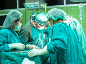 Jihočeské nemocnice začnou postupně obnovovat provoz