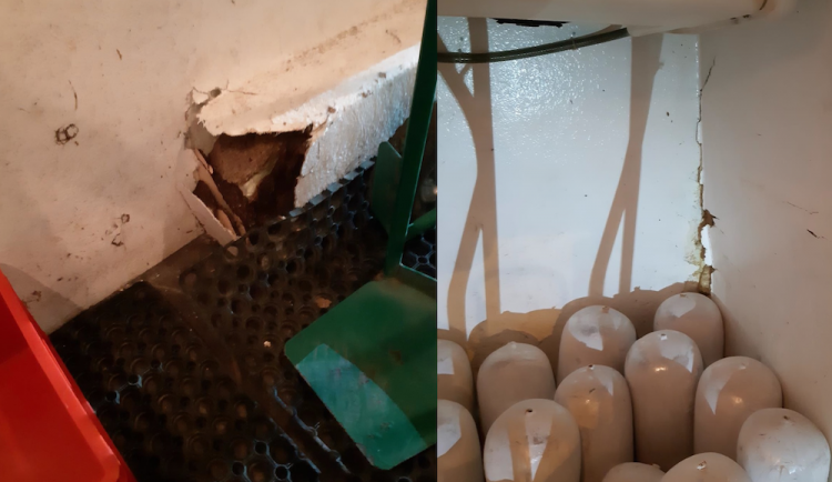 Inspektoři zastavili auto, které v nevyhovujících podmínkách přepravovalo půl tuny masa na kebab