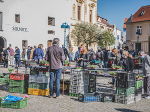 Na farmářské trhy dorazily ráno stovky lidí. Zájem byl hlavně o sazenice