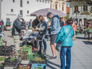 Na farmářské trhy dorazily ráno stovky lidí. Zájem byl hlavně o sazenice