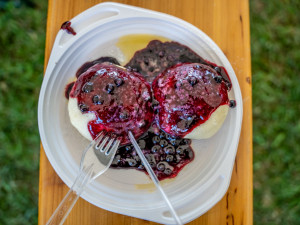 Borovanské Borůvkobraní se přesouvá na příští rok