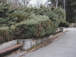 Okolí sportovní haly projde revitalizací, vznikne i místo pro grilování