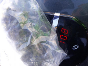 Drogy schované v klíčence i batohu vyčmuchal služební pes, osádku auta si převzali policisté