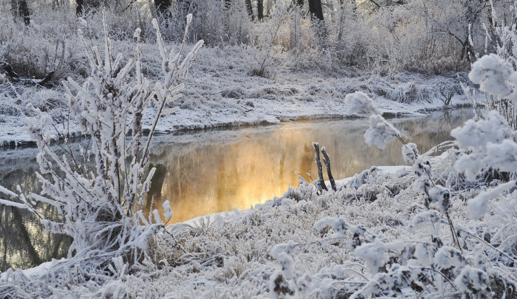 V Česku se ochladilo až o 20 stupňů, na Šumavě napadl sníh