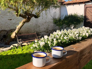 Dobrovolníci v Černicích budou pomáhat ohrožené výrobě keramiky